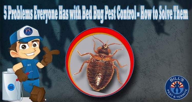 5 Problems Everyone Has with Bed Bug Pest Control