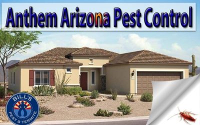 Anthem Arizona Pest Control
