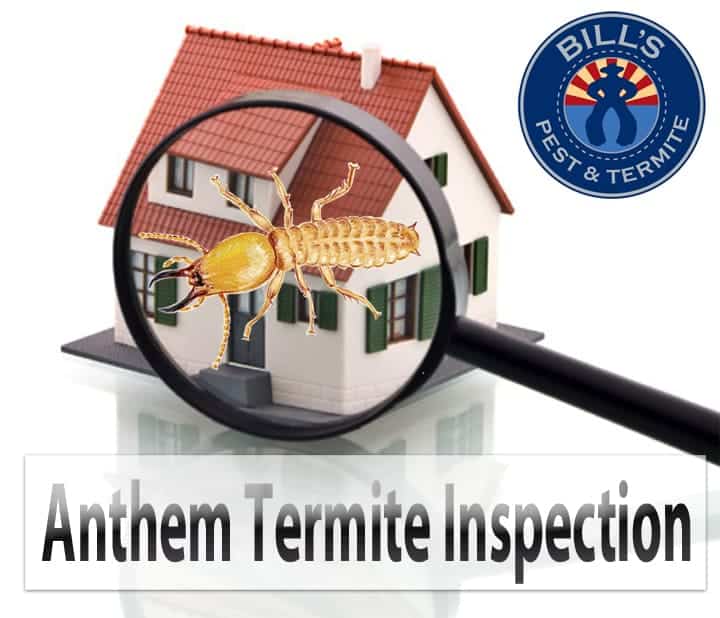 Best Anthem Termite Inspection Service