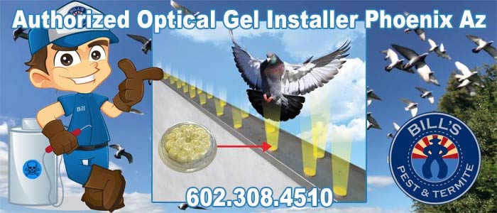 Authorized Optical Gel Installer Phoenix, Az