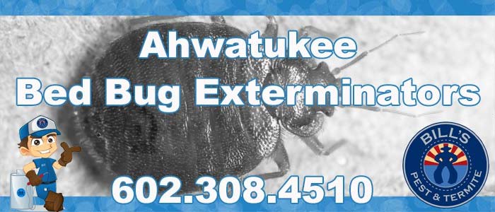 Bed Bug Control Ahwatukee AZ | Bed Bug Exterminators Ahwatukee AZ