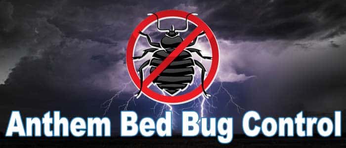 bed bug control Anthem, AZ