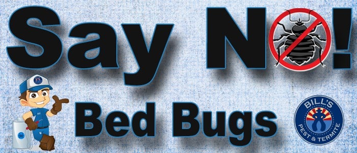 Free Bed Bug Inspection and Bed Bugs Treatment Quotes