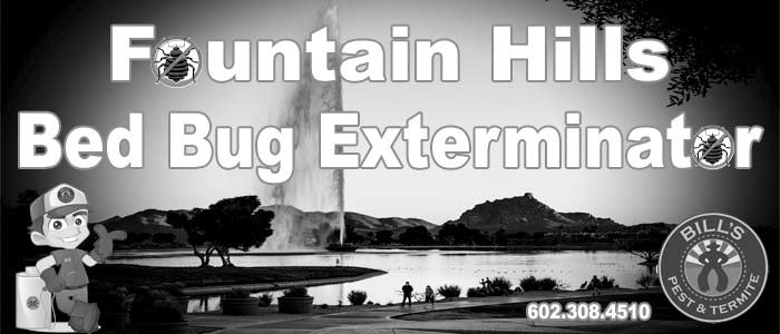 Expert Bed Bug Exterminator Fountain Hills AZ