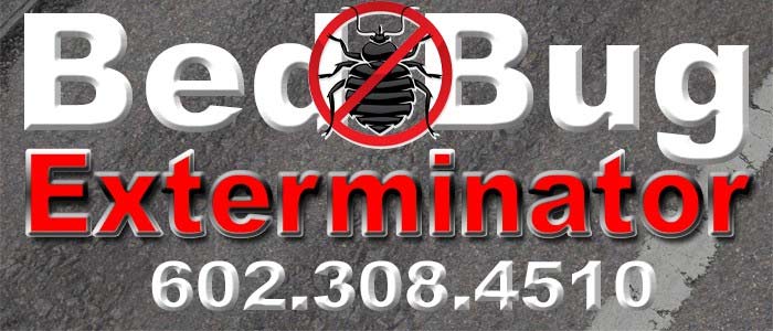 Bed Bug Control Goodyear Az | Bed Bug Exterminators Goodyear