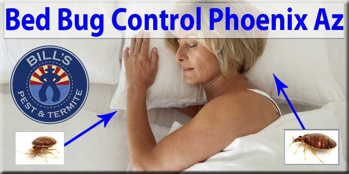 Best Bed Bug Control Phoenix AZ - #1 Bed Bug Exterminators Phoenix
