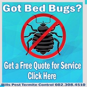 Bed Bug Control Treatment & Removal Quote Phoenix Az