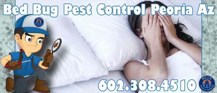 Best Bed Bug Treatment Peoria AZ - Affordable Bed Bug Removal Peoria Az Services