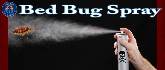Bed Bug Spray Phoenix Az