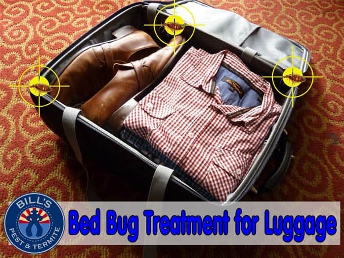 Bed Bug Treatment for Luggage
