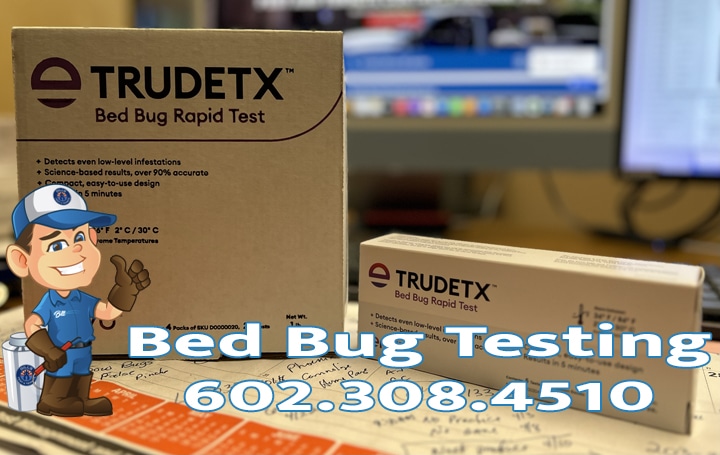 Best Bed Bug Testing in Phoenix Az