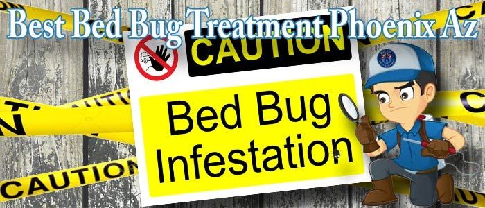 Best Bed Bug Treatment Fountain Hills AZ - FREE Bed Bug Inspection Fountain Hills AZ
