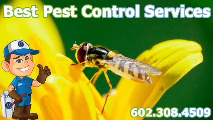 Best Pest Control Peoria Az - FREE Termite Inspection Peoria AZ