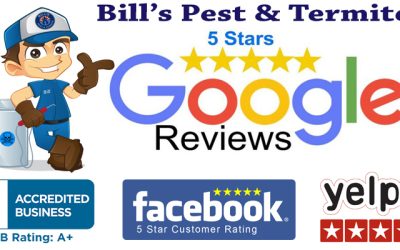 Best Pest Control Reviews – Bill’s Pest Termite Control