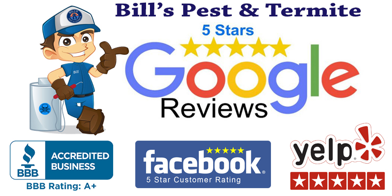 Best Pest Control Reviews – Bill’s Pest Termite Control