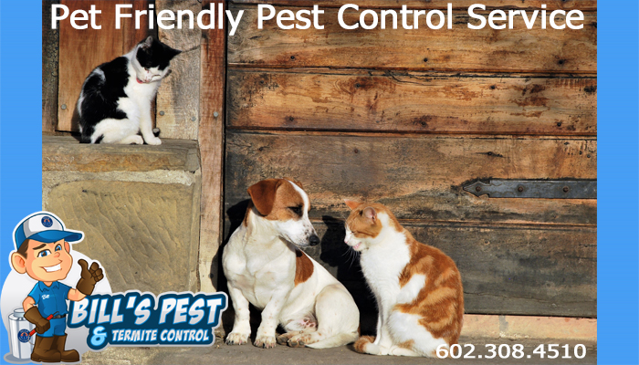 Best Pet Friendly Pest Control Surprise Az