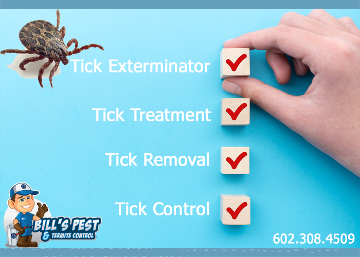Best Tick Pest Control Chandler Az