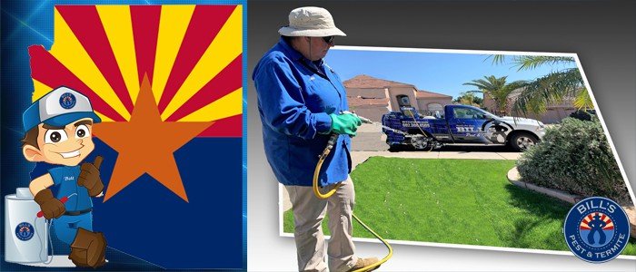 Best Commercial Pest Control Services Mesa, AZ