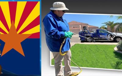 Why Bills is the Best Pest Control Service in Phoenix Arizona