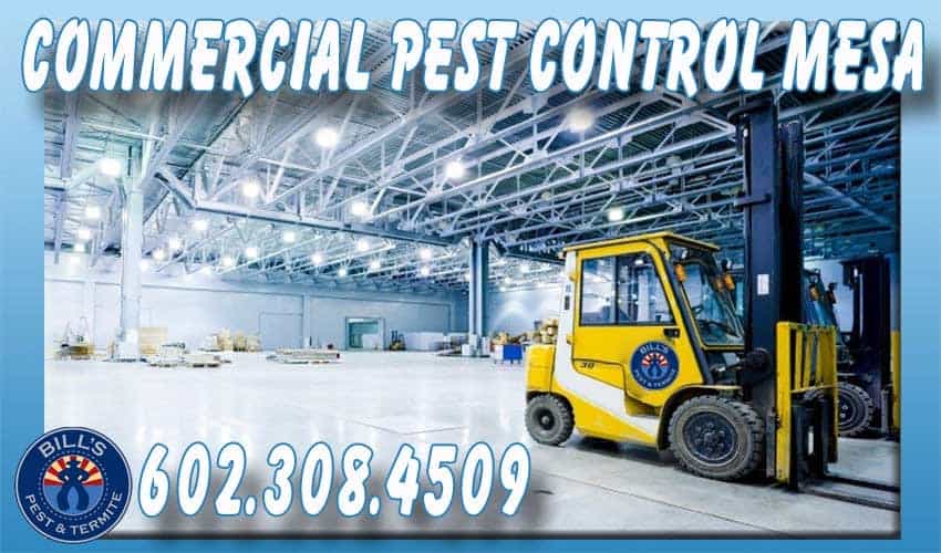 Best Commercial Pest Control Mesa, AZ