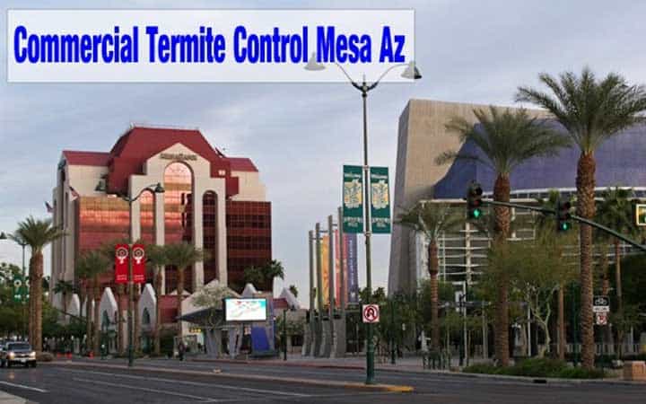 Best Commercial Termite Control Mesa Az | Mesa Commercial Termite Treatment