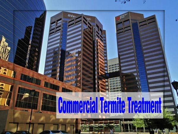 Best Commercial Termite Treatment Phoenix Az