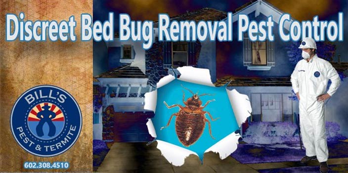Discreet Bed Bug Removal Pest Control