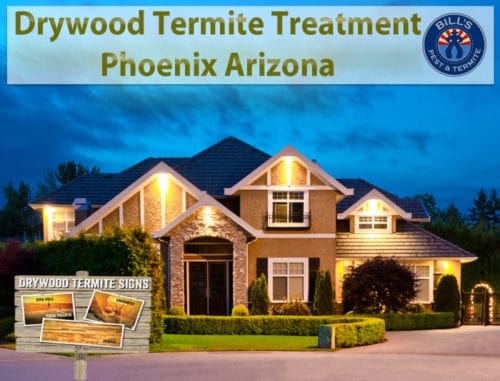 Drywood termite treatment Phoenix AZ