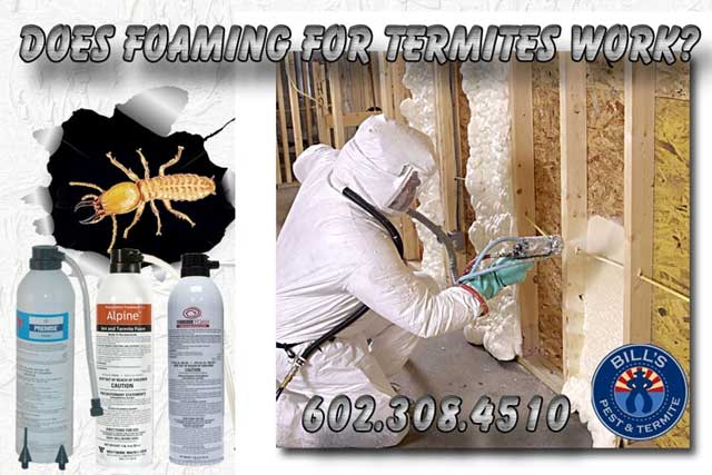 Does Foaming for Termites Work in Phoenix Az?
