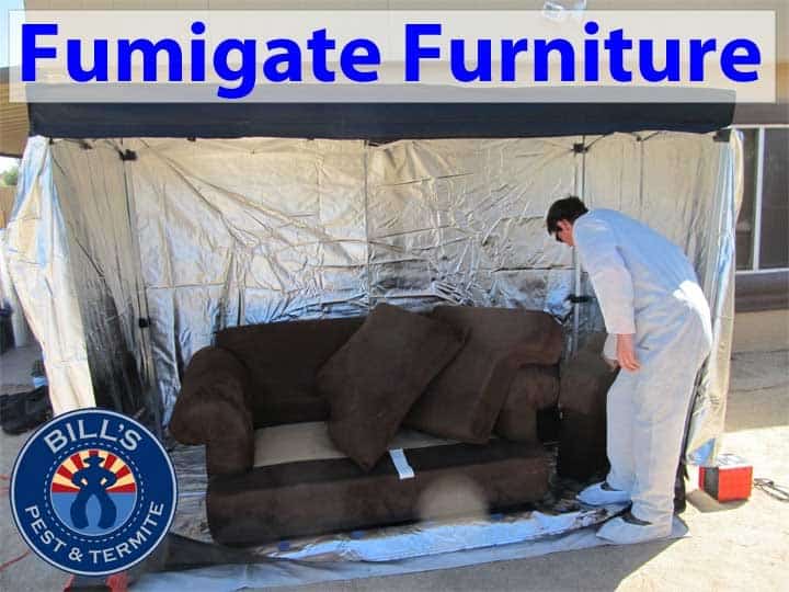 Fumigate Furniture Phoenix Az – Bills Pest Termite Control
