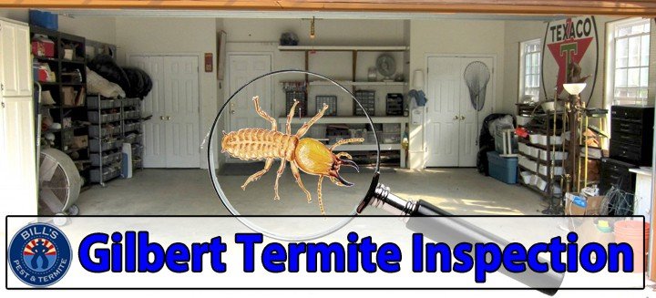 Best Termite Inspection Gilbert Az | Gilbert Termite Inspection