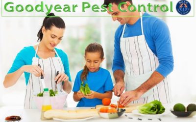 Goodyear Pest Control