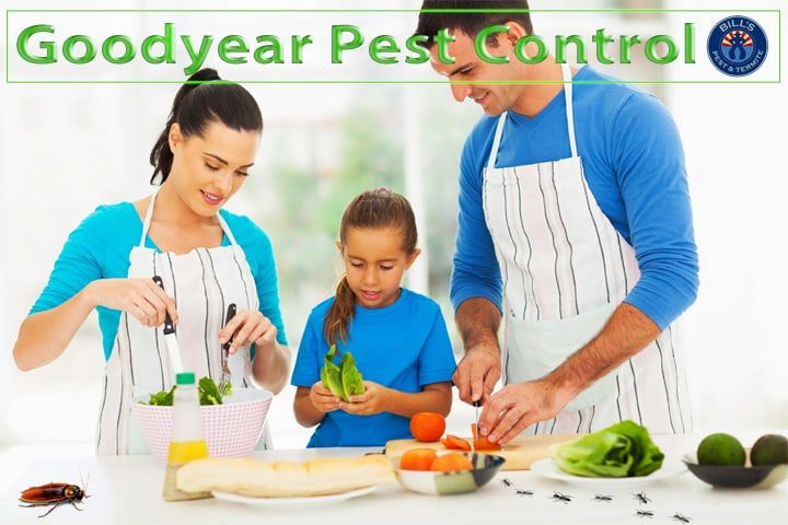 Best Pest and Termite Control Goodyear, AZ