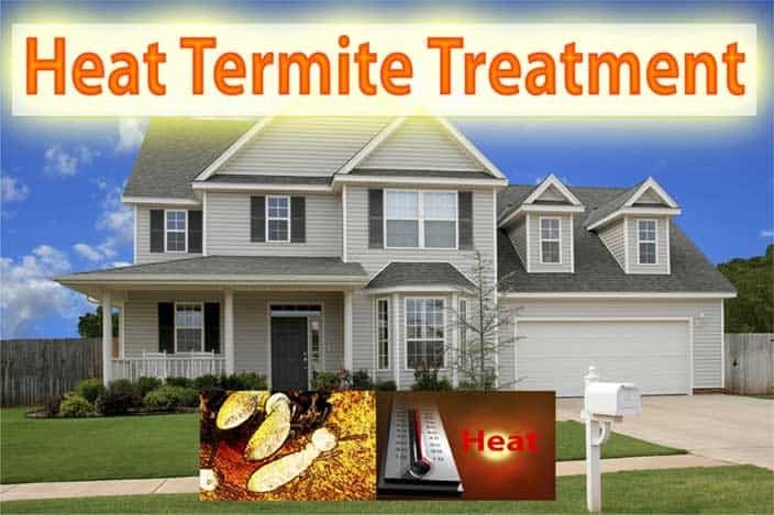 Best Termite Heat Treatment Services Phoenix AZ
