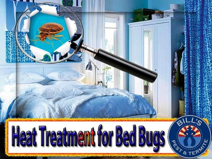 Bed Bug Heat Treatment or Chemical Treatment?
