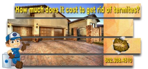 How much does it cost to get rid of termites