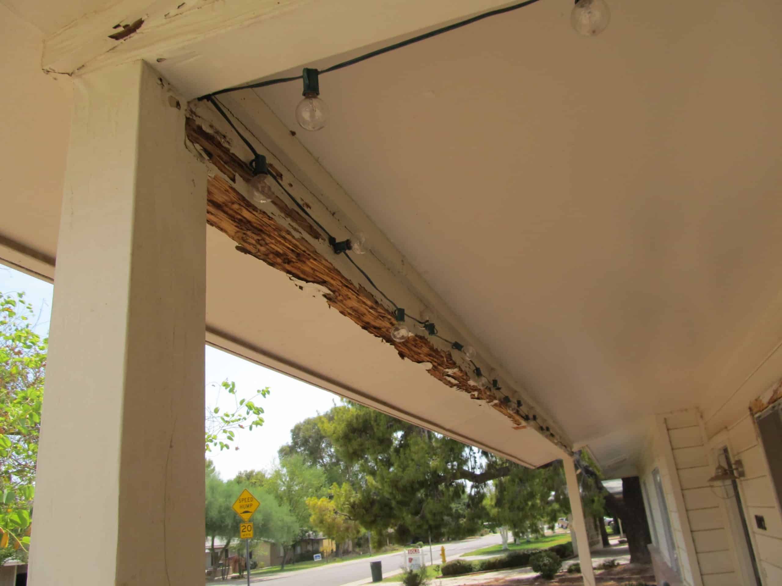 Arizona termite damage