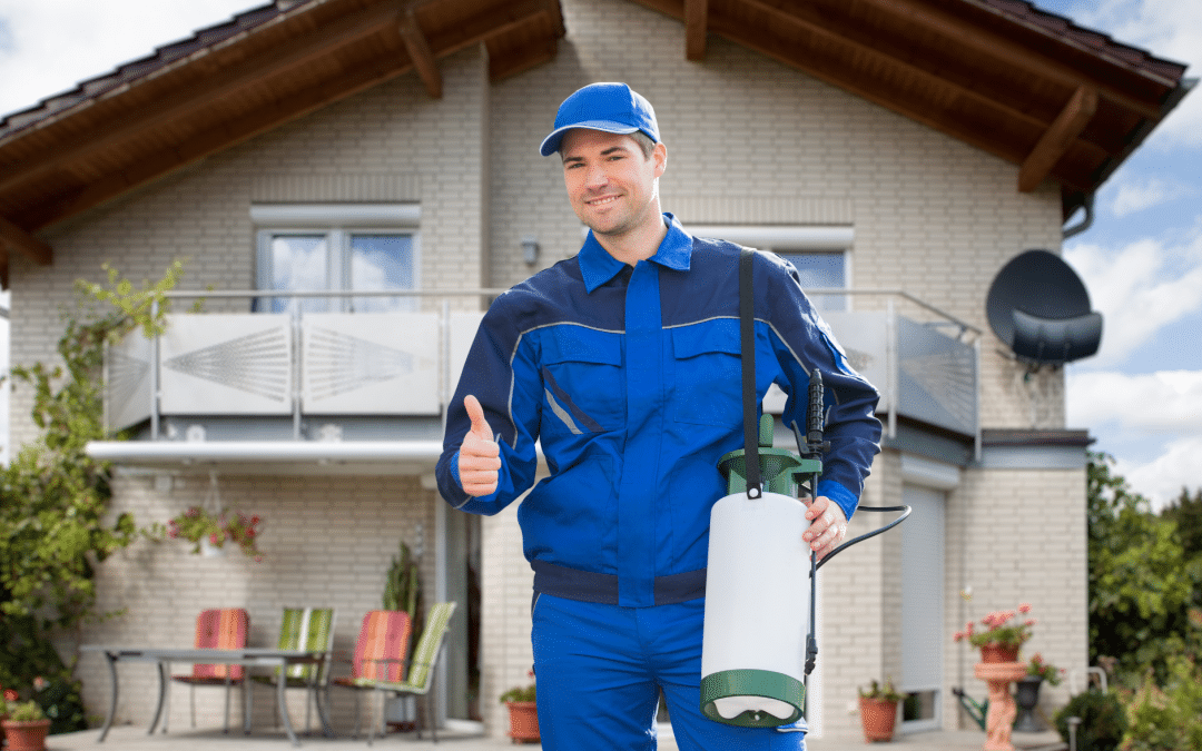 How To Spot Pest Control Scams – Don’t Fall Victim!