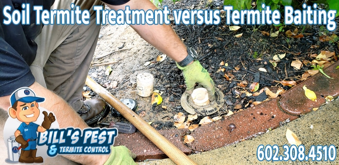 Liquid Soil Termite Treatment Versus Termite Baiting Phoenix, AZ