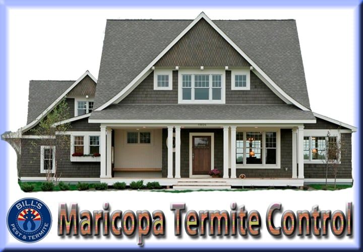 Best Termite Control Maricopa AZ