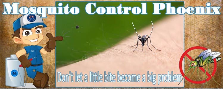 Best Mosquito Control Phoenix, AZ