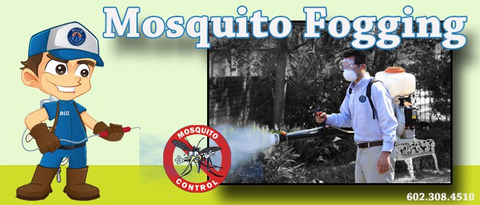 Mosquito Fogging Phoenix Az