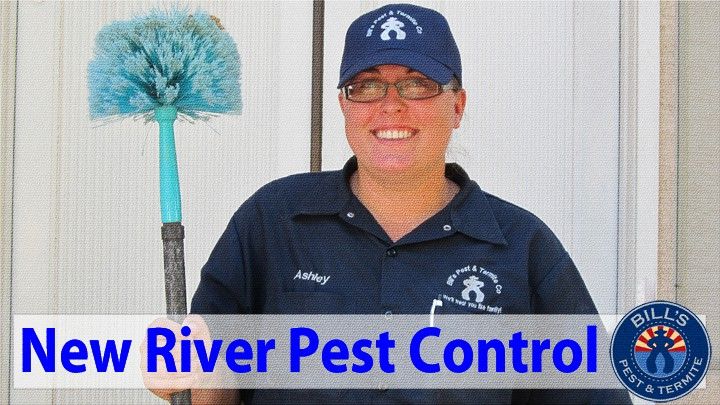 Best Pest Control New River AZ