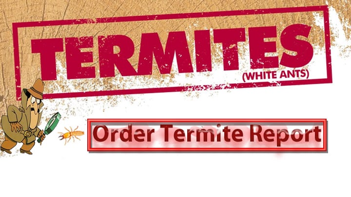 Order Termite Report Phoenix Az