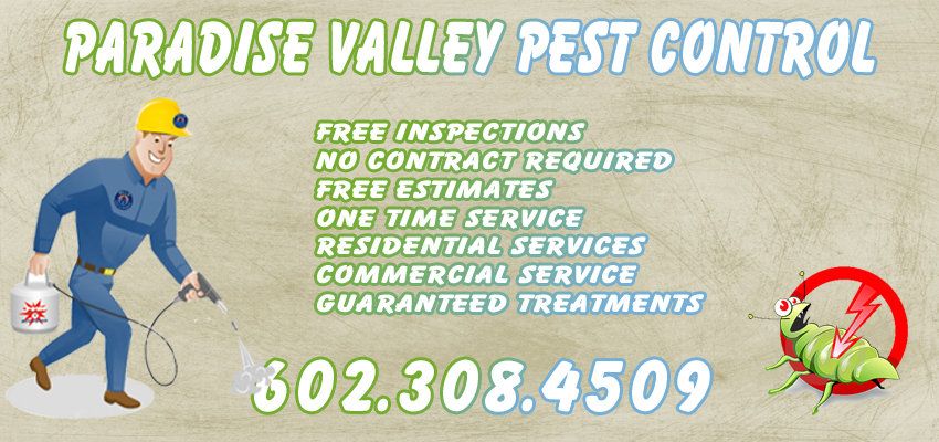 Affordable Pest Control Paradise Valley Az Services 