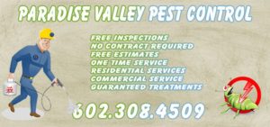 Paradise Valley Pest Control
