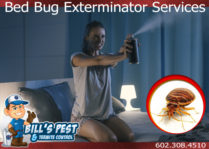How To Get Rid Of Bed Bugs Bills Pest Termite Control