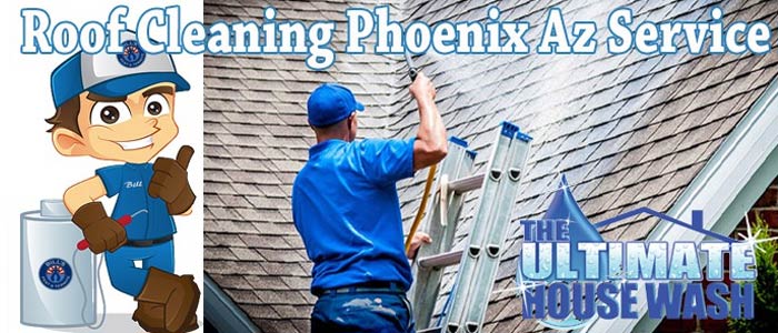 Best Roof Cleaning Phoenix Az Service | Bird Poop Removal