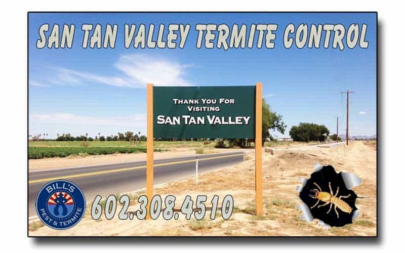 Expert Termite Control San Tan Valley AZ