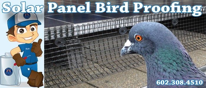 Solar Panel Screening Pigeon Proofing Surprise, AZ